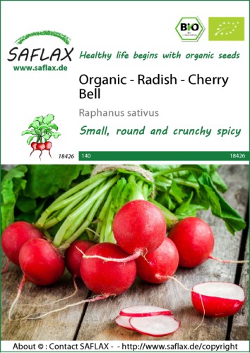 Radish Cherry Bell ORGANIC Seeds
